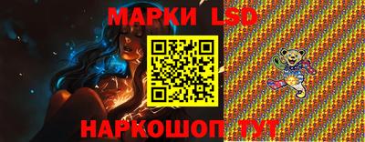 стаф Гай