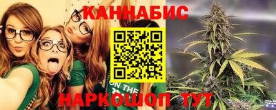стаф Гай
