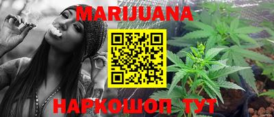 стаф Гай