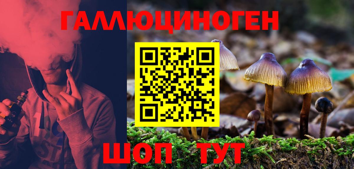 Нижнеудинск  Галлюциногенные грибы Cubensis  Вход с VPN 